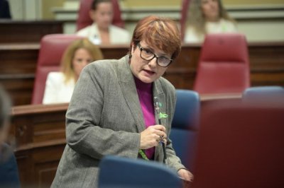 Delgado desmiente, con datos, el alarmismo de la oposici&oacute;n sobre la gesti&oacute;n del sistema de dependencia