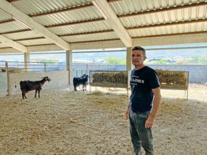 El ICIA analiza la elaboraci&oacute;n de forraje a partir de restos agr&iacute;colas para la alimentaci&oacute;n del ganado caprino