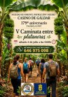 El Casino de G&aacute;ldar celebra la V Caminata entre Plataneras