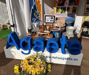 Agaete está presente hoy en la celebración de la gran feria de ganado de las Fiestas de La Manzana