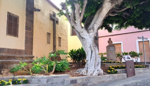 El Ayuntamiento de Gu&iacute;a hace un llamamiento al civismo para proteger los parques y jardines del municipio