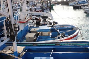 El Gobierno canario destina 400.000 euros a la mejora del equipamiento de las cofradías de pescadores