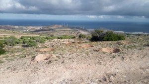 Gáldar: Abiertas las inscripciones para participar en una repoblación en Amagro