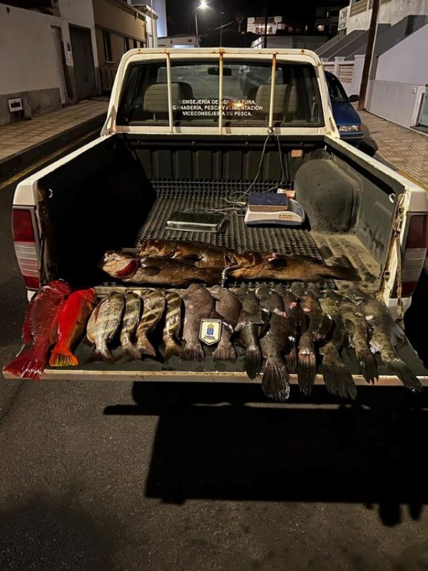 Agentes de Inspecci&oacute;n Pesquera denuncian a dos pescadores submarinos con 29 kilos de pescado ilegal