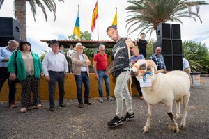 El Cabildo concede 327.000 euros en ayudas para mejorar las condiciones de producción y transformación de explotaciones ganaderas