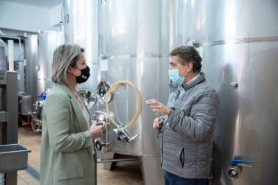 El Gobierno canario refuerza la competitividad y comercializaci&oacute;n de los vinos con DOP