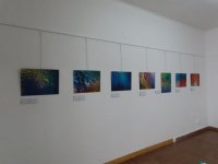 Villa de Firgas: Exposición “Cuento de los Océanos Fotográficos”, de la firguense Inma Rodríguez