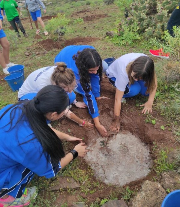 Foresta participa en la IV Comisión de Seguimiento Local del proyecto TREEMAC para la sensibilización y protección ambiental