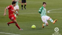 La Comisi&oacute;n Antiviolencia declara de alto riesgo el derbi Betis-Sevilla