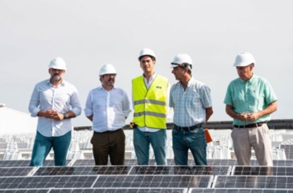 Responsables del Cabildo realizan una visita técnica a la instalación fotovoltaica del Gran Canaria Arena