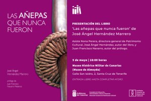 Patrimonio Cultural desvela la verdad de las “añepas guanches” del Museo de Almeyda