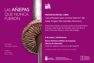 Patrimonio Cultural desvela la verdad de las “añepas guanches” del Museo de Almeyda