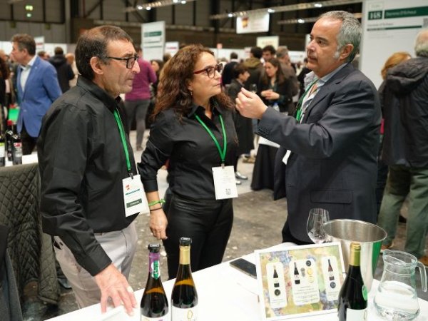 Nueve bodegas canarias participan, de la mano de Proexca, en el Sal&oacute;n de los Mejores Vinos de Espa&ntilde;a