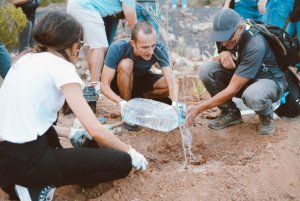 Los catorce guionistas de IsLABentura plantan cinco endemismos en Lanzarote