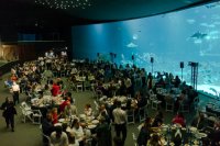 La Gran Gala del D&iacute;a de los Oc&eacute;anos de Poema del Mar re&uacute;ne, un a&ntilde;o, m&aacute;s a las personalidades m&aacute;s destacadas de Canarias