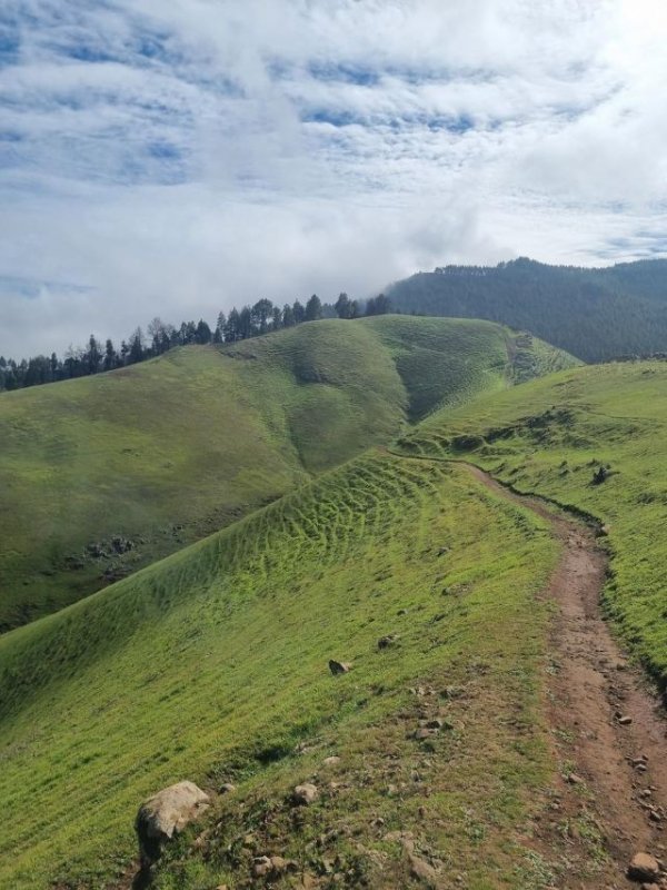 Valleseco: Plan de senderismo para este fin de semana de Monte Pavón a Montaña Alta