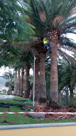 La Aldea adecenta la plaza del Proyecto Cultural de Desarrollo Comunitario