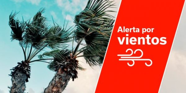 El Gobierno de Canarias declara la situación de alerta por viento en Canarias