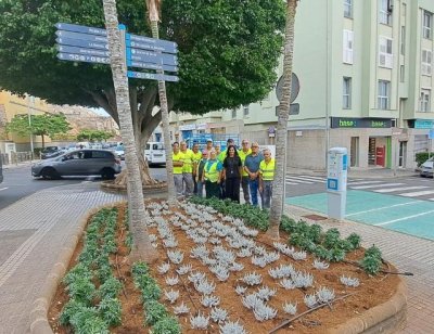 Gu&iacute;a embellece el casco hist&oacute;rico con m&aacute;s de 2.000 plantas de temporada de cara a las Fiestas de la Virgen