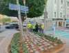 Gu&iacute;a embellece el casco hist&oacute;rico con m&aacute;s de 2.000 plantas de temporada de cara a las Fiestas de la Virgen