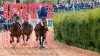 El espect&aacute;culo de las carreras de caballos regresa este domingo al hip&oacute;dromo de La Laguna de Valleseco