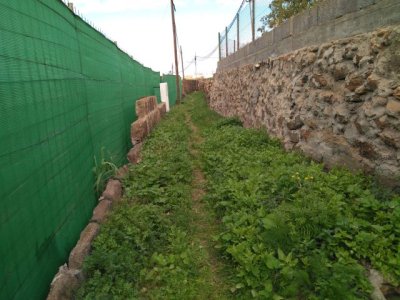 El Plan de Barrios del Ayuntamiento de G&aacute;ldar contin&uacute;a con la licitaci&oacute;n del camino Indiano Medina, en Marmolejos