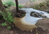 Villa de Firgas: Silencio absoluto tras un a&ntilde;o del grave vertido de productos qu&iacute;micos en el cauce del Barranco de Las Madres/Azuaje