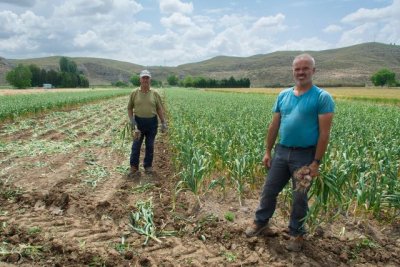UPA reivindica la sostenibilidad de la agricultura familiar frente a modelos “industriales y especulativos”