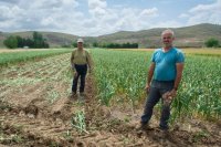 UPA reivindica la sostenibilidad de la agricultura familiar frente a modelos &ldquo;industriales y especulativos&rdquo;