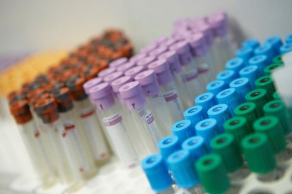 Sanidad confirma un caso de viruela del mono en Gran Canaria y notifica cinco nuevos en estudio
