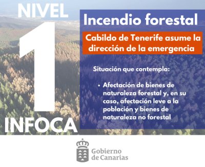 El incendio forestal de Tenerife baja a nivel 1 del INFOCA y el Cabildo de Tenerife asume la direcci&oacute;n