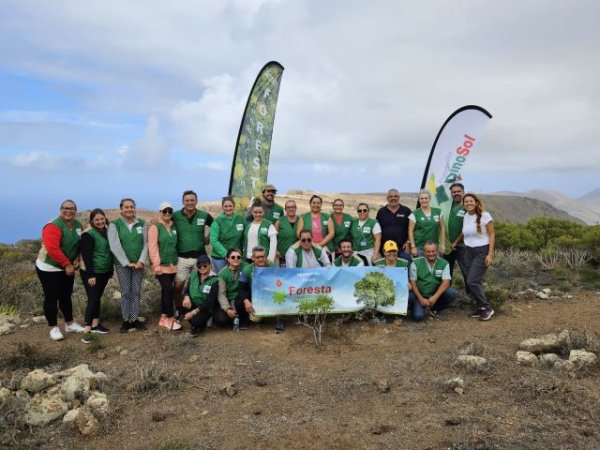 Foresta inicia su campaña de reforestación de la mano de empresas canarias para recuperar la masa forestal del Archipiélago
