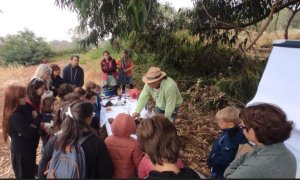 Guía: Últimas plazas para el curso de introducción a la cata de mieles en el Aula de la Naturaleza de Verdejo