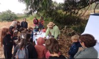 Guía: Últimas plazas para el curso de introducción a la cata de mieles en el Aula de la Naturaleza de Verdejo
