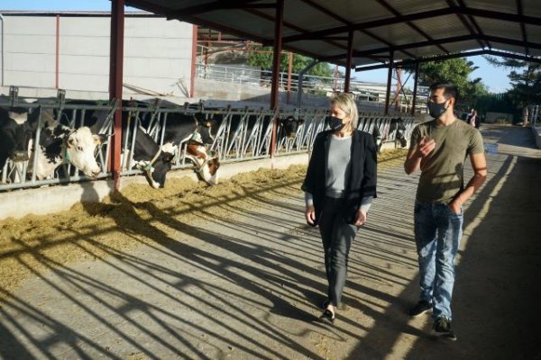 El Gobierno concede más de 300.000 euros a los ganaderos para compensar los efectos económicos de la guerra