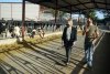 El Gobierno concede m&aacute;s de 300.000 euros a los ganaderos para compensar los efectos econ&oacute;micos de la guerra