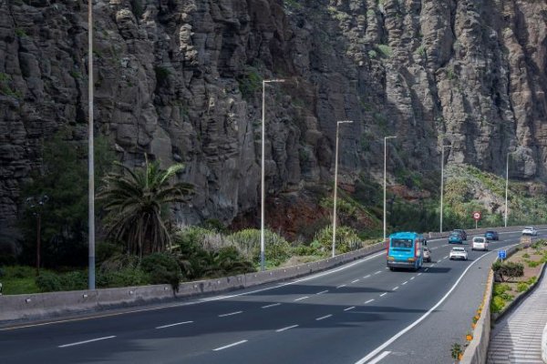 El Cabildo crea un Jardín Canario en el entorno de La Laja con una intervención paisajística