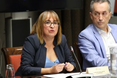 La Gomera respalda la nueva Ley de Accesibilidad y pide financiaci&oacute;n y coordinaci&oacute;n para garantizar su aplicaci&oacute;n real