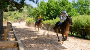 Empieza la temporada en el hipódromo de Valleseco