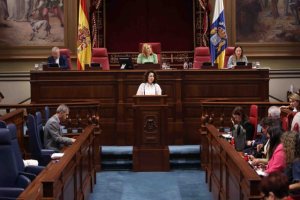 “Es falso insinuar torticeramente que las partidas no ejecutadas se pierden”