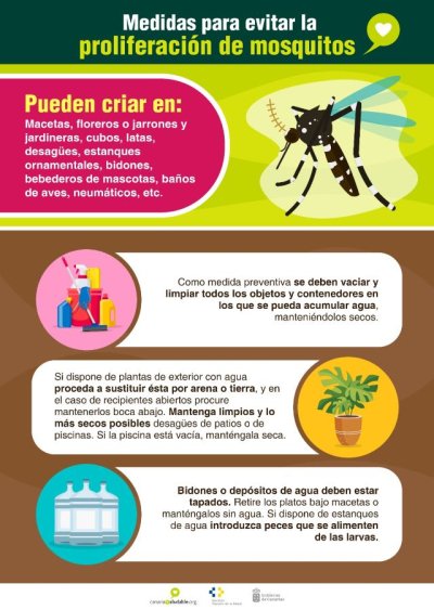 Sanidad activa el protocolo ante detecci&oacute;n de un ejemplar de mosquito Aedes albopictus en una vivienda en Tenerife