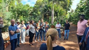 Foresta participa en la tercera jornada de la comisión de seguimiento del TREEMAC