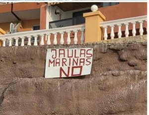 Turcón exige alejar las jaulas marinas del litoral de Telde ante la reiterada contaminación de las playas