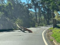 El alcalde de Firgas agradece a todas las personas que trabajaron para minimizar los da&ntilde;os de la alerta por viento