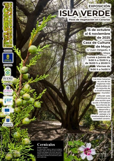 Noviembre Forestal 2025 se acerca a Moya con la Exposición Divulgativa “ISLA VERDE. Pisos de vegetación de Canarias”
