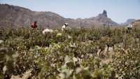 La Reserva de la Biosfera actualiza su Plan de Acci&oacute;n hasta 2025 con la poblaci&oacute;n local, colectivos y municipios como eje fundamental