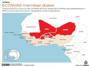 Artículo de opinión: &#039;Nigeria tiene la culpa de la retirada de la Confederación del Sahel de la CEDEAO&#039;