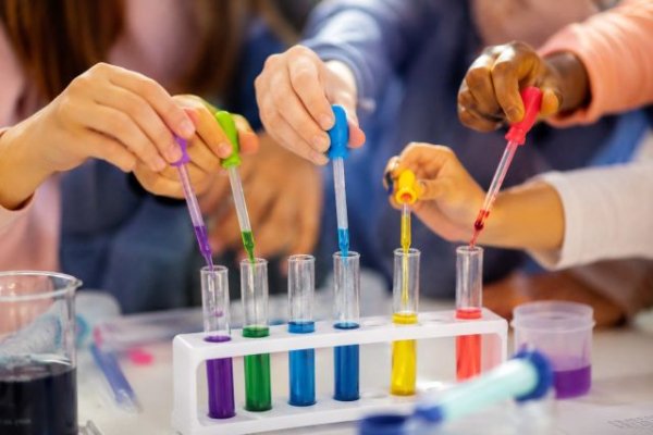 M&aacute;s de 5.600 estudiantes y sus 800 proyectos cient&iacute;ficos protagonizan la XI edici&oacute;n de Apa&ntilde;adas de Ciencias