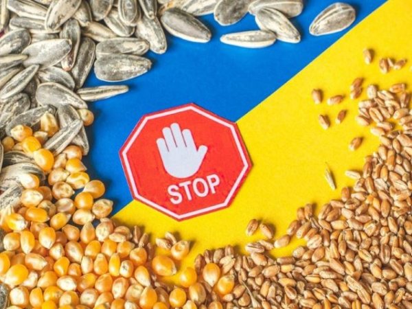 Polonia y Ucrania están discutiendo sobre el grano una vez más