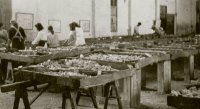 La Gomera: El Cabildo homenajea a las mujeres de los pescadores con motivo del D&iacute;a de la Mujer Rural (V&iacute;deo)